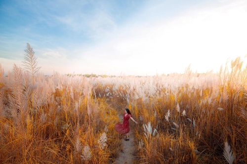 Hà Nội... những ngày mùa đông