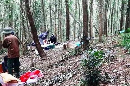 Người đàn ông tử vong trong rừng với nhiều vết thương trên người