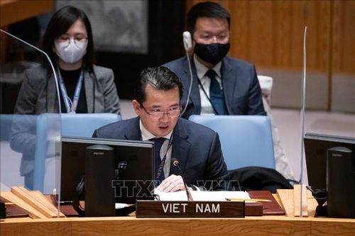 Việt Nam đề cao xây dựng lòng tin trong giải quyết vấn đề vũ khí hóa học tại Syria