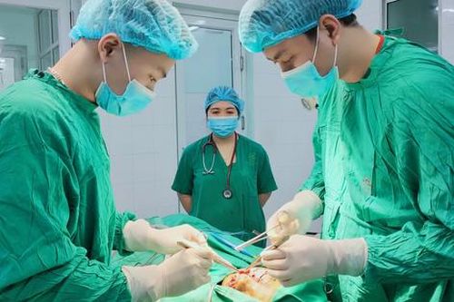 Bé 10 tuổi bị chó cắn rách mặt