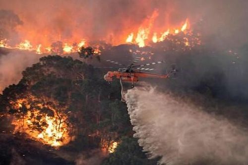 Năm 2021: Lập kỷ lục phát thải carbon từ cháy rừng