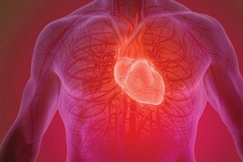 Thêm bằng chứng hóa giải lo ngại về tiêm vaccine COVID-19 và viêm cơ tim