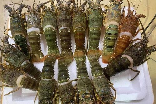 Đặt mâm hải sản đầy tôm cua với giá chỉ 250.000 đồng và cái kết