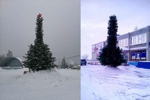 Cây thông Noel có ngoại hình nhạy cảm khiến người dân tranh cãi