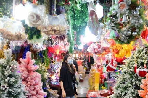 Người dân TP. HCM nhộn nhịp sắm cây thông trang trí những ngày cận Noel
