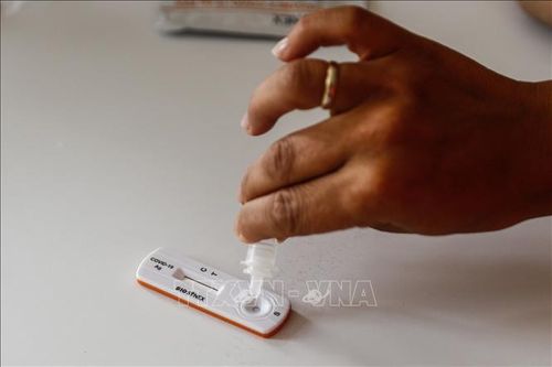 Người dân Pháp tăng cường tích trữ bộ xét nghiệm COVID-19