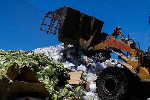 Vỏ chuối, xương gà và thức ăn thừa không còn xuất hiện trong thùng rác tại California
