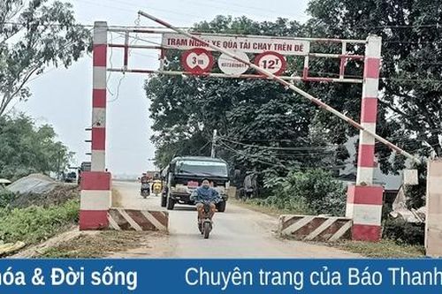 Tăng cường quản lý, xử lý vi phạm pháp luật về đê điều