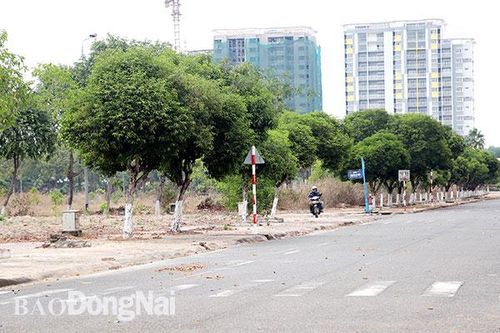 Tầm nhìn xa trong quy hoạch sử dụng đất