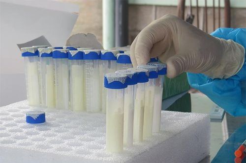 Đến 7 giờ ngày 10-12, Khánh Hòa có thêm 478 bệnh nhân mắc Covid-19 được điều trị khỏi bệnh
