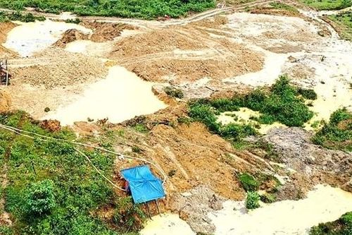 Vàng tặc phá tan nát rừng ngay gần chốt bảo vệ rừng