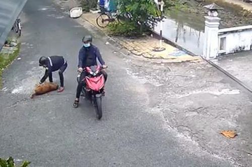 2 thanh niên trộm con chó giữa ban ngày gây bức xúc