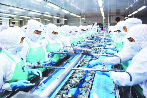 Tôm Việt Nam đứng số 1 tại nhiều thị trường xuất khẩu