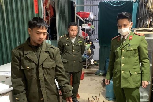 Hà Giang: Hơn 100 kg động vật quý hiếm 'nấp' trong tủ đông lạnh
