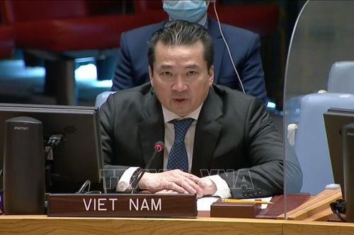 Việt Nam kêu gọi thúc đẩy đối thoại, hòa giải ở Sudan