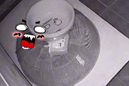 Thấy lồng bàn bị xê dịch dù được chèn kỹ càng, chủ nhà kinh hãi khi kiểm tra camera