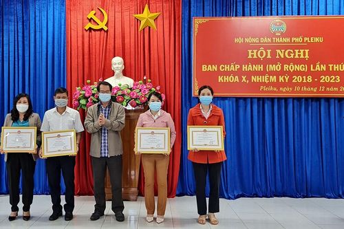 Pleiku biểu dương 82 tập thể, cá nhân trong công tác Hội Nông dân
