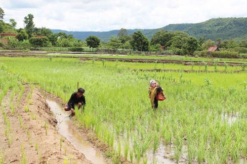 Bạn đồng hành với nông dân