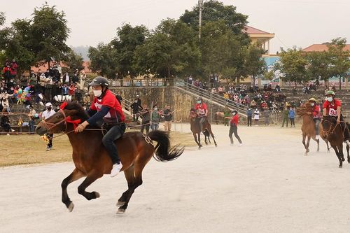 Hấp dẫn trình diễn đua ngựa trên 'Cao nguyên trắng'