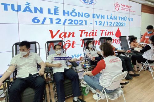 Tuần lễ hồng EVN lần thứ VII