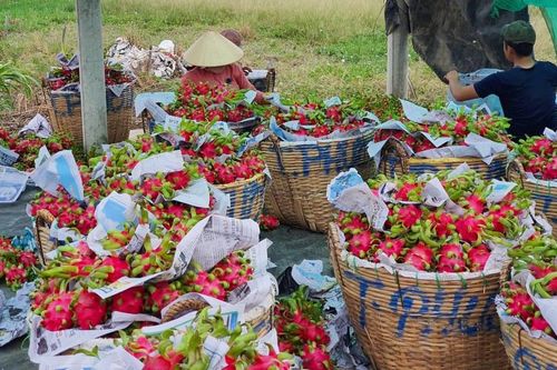 Doanh nghiệp cẩn trọng để tránh nằm chờ ở cửa khẩu lâu
