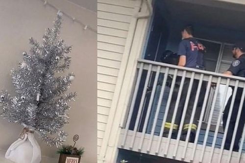 Phát hiện bí mật động trời nhờ vị trí 'lạ' của cây thông Noel