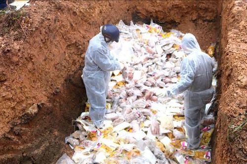 Tiêu hủy gần 2.500 kg sản phẩm động vật các loại không rõ nguồn gốc xuất xứ