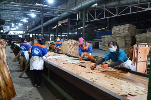 Bảo Yên thu hút đầu tư vào nông - lâm nghiệp