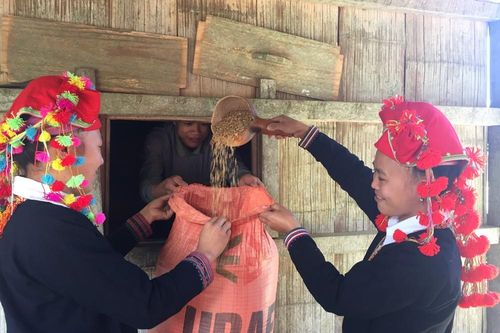 Dưới chân núi Pú Gia Lan