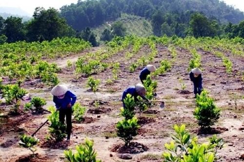 Việt Nam chuyển nhượng CO2: Lợi ích lớn nhưng vẫn... ngại!