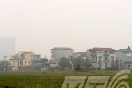 Giải mã làng thịt chó không ai dám… giết chó!