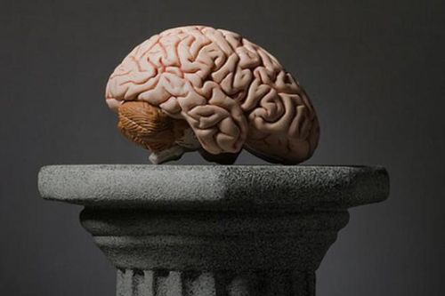Ai là người có chỉ số IQ cao nhất trong lịch sử nhân loại?