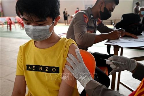 Indonesia: Sẵn sàng triển khai tiêm phòng COVID-19 cho trẻ từ 6-11 tuổi