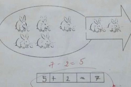 Bài toán tiểu học với phép tính '5+2 =7' không được cô giáo công nhận gây tranh cãi