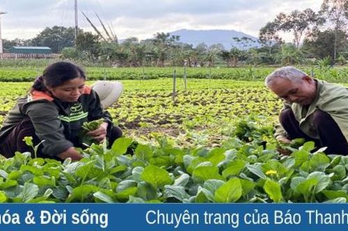 Bảo đảm năng lực cung ứng nông sản, thực phẩm thiết yếu dịp cuối năm và Tết Nguyên đán Nhâm Dần 2022