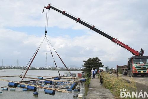 Khẩn trương chấm dứt nuôi thủy sản tự phát trên sông Cổ Cò