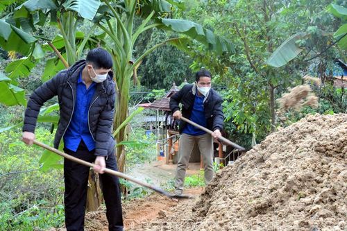 Ủ bã dong riềng làm phân vi sinh mang lại lợi ích kép