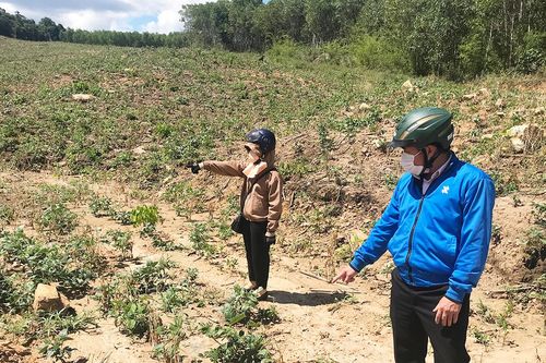 Năm 2021, tỉnh Gia Lai thiệt hại hơn 141 tỷ đồng do hạn hán