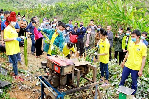 Ngày hội đánh giá hiệu quả sản xuất cây gai xanh AP1 tại Sông Mã
