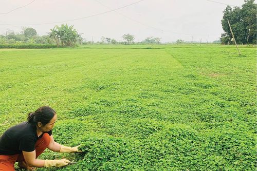 Kinh tế Khảo sát, thẩm định chất lượng...
