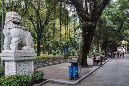 Trung Quốc kỷ luật 10 quan chức vì đốn hạ hàng ngàn cây xanh