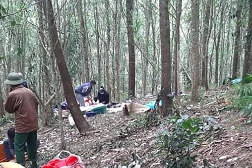 Vụ phát hiện thi thể bị nhiều vết đâm trong rừng keo: Triệu tập nghi phạm