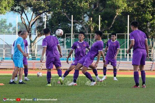 AFF Cup 2020: Truyền thông Indonesia nhận định về đội tuyển Việt Nam