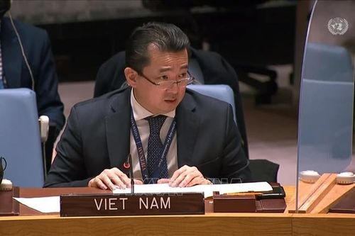 Việt Nam đã nỗ lực thực thi nhiệm vụ Chủ tịch Ủy ban của HĐBA về Nam Sudan
