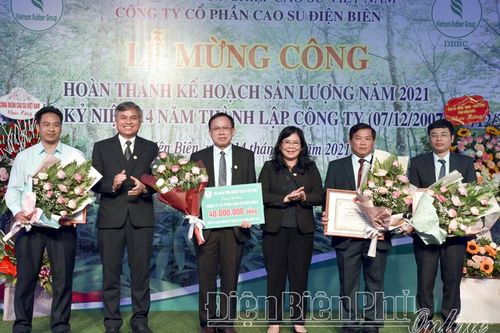 Năm 2021, sản lượng mủ quy khô đạt gần 3.500 tấn