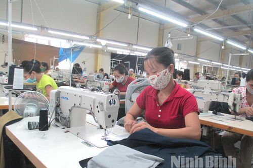 Triển khai kịp thời chính sách hỗ trợ cho người lao động