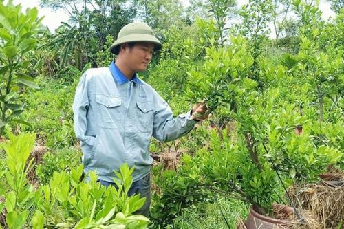 Hà Đăng Anh - một trong 50 thanh niên khuyết tật tiêu biểu được vinh danh