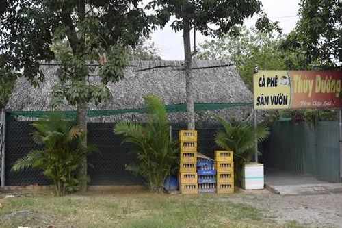 Khởi tố chủ quán cà phê hoạt động mại dâm