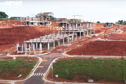 Đưa rừng bê tông lên đồi 41ha ở Lâm Đồng: Huyện đề xuất 'tiếp tục thực hiện'