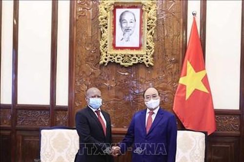 Chủ tịch nước Nguyễn Xuân Phúc tiếp Đại sứ Nam Phi
